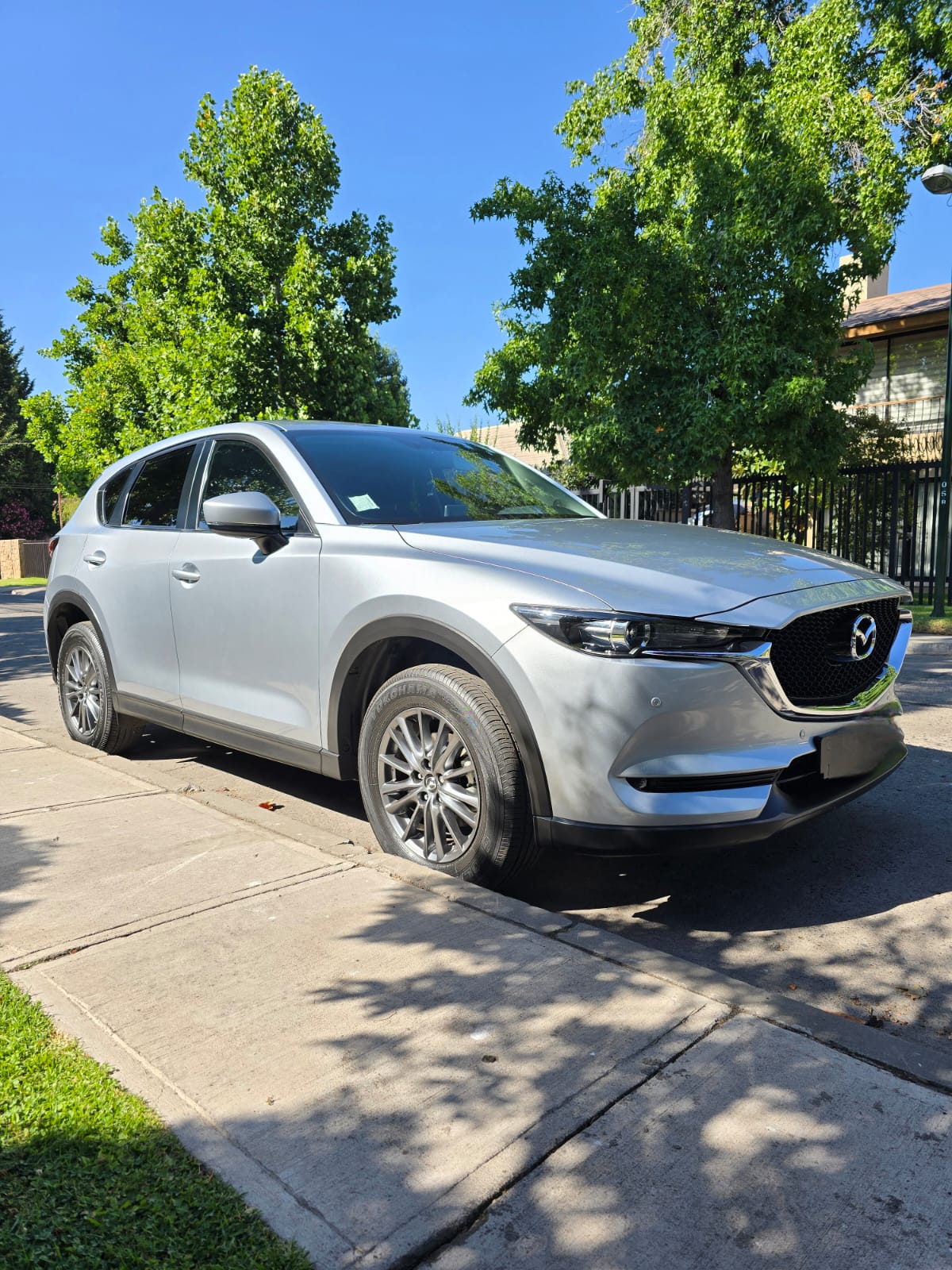 WhatsApp Image 2026-01-10 at 11.18.02