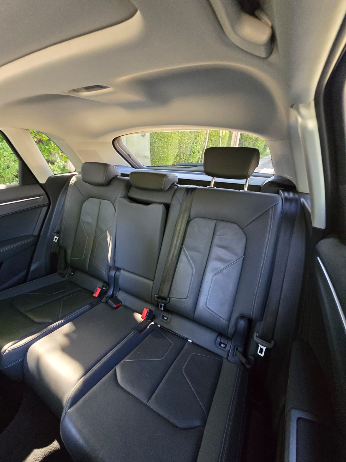 WhatsApp Image 2026-02-11 at 22.25.38