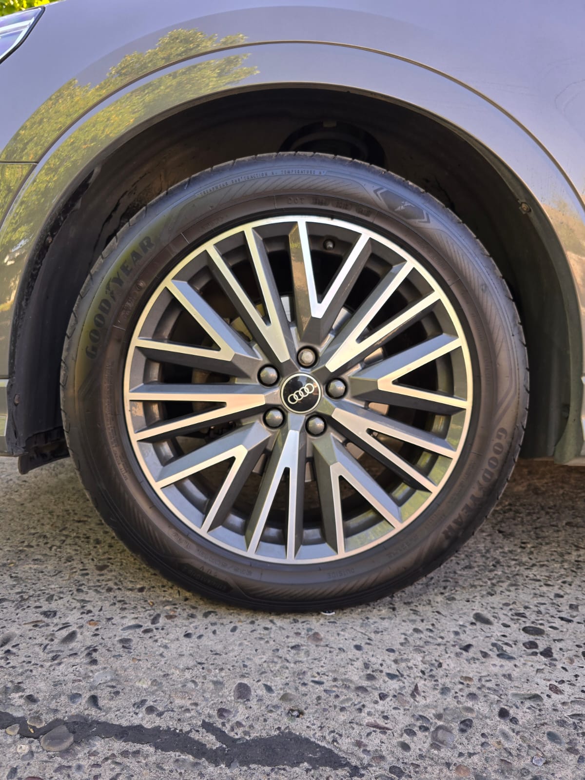 WhatsApp Image 2026-02-11 at 22.25.39 (1)