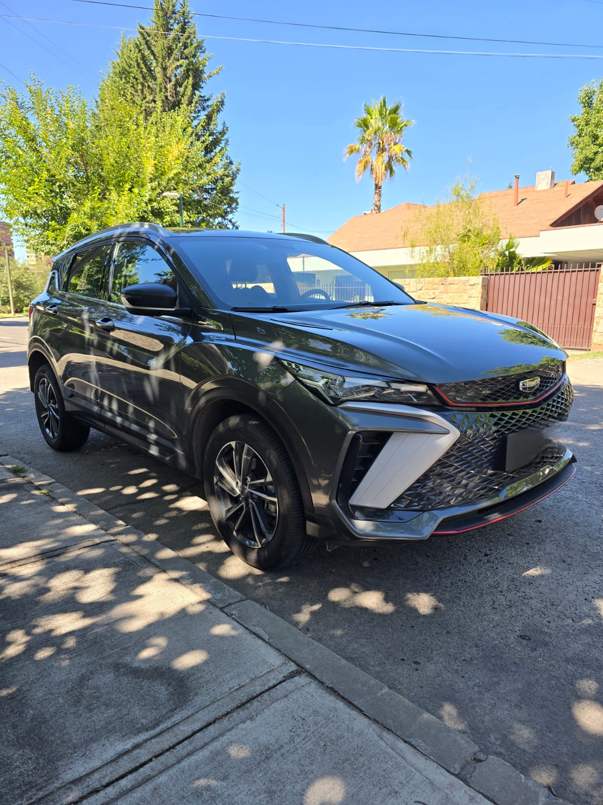 WhatsApp Image 2026-02-11 at 23.04.33