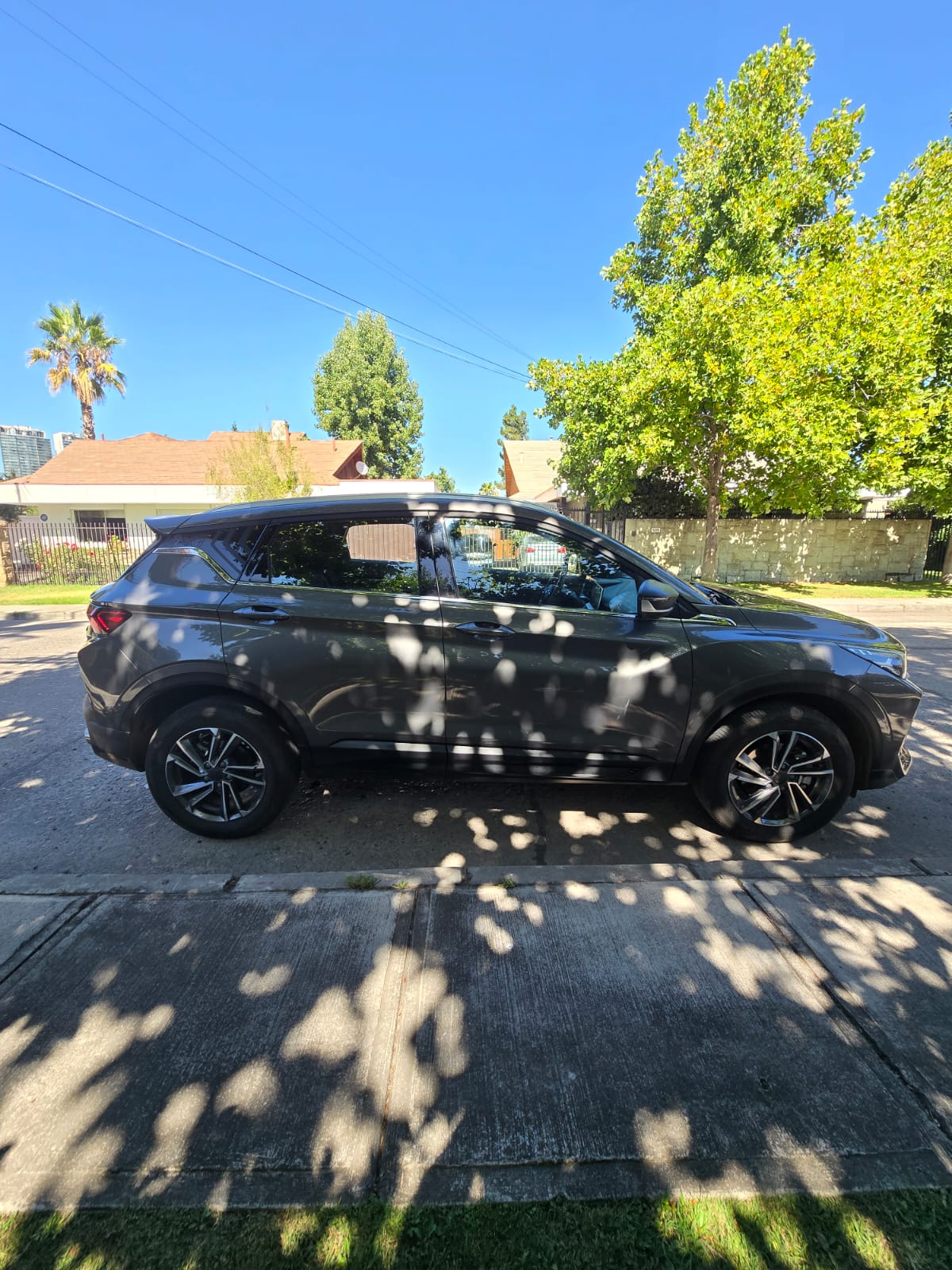 WhatsApp Image 2026-02-11 at 23.04.41 (4)