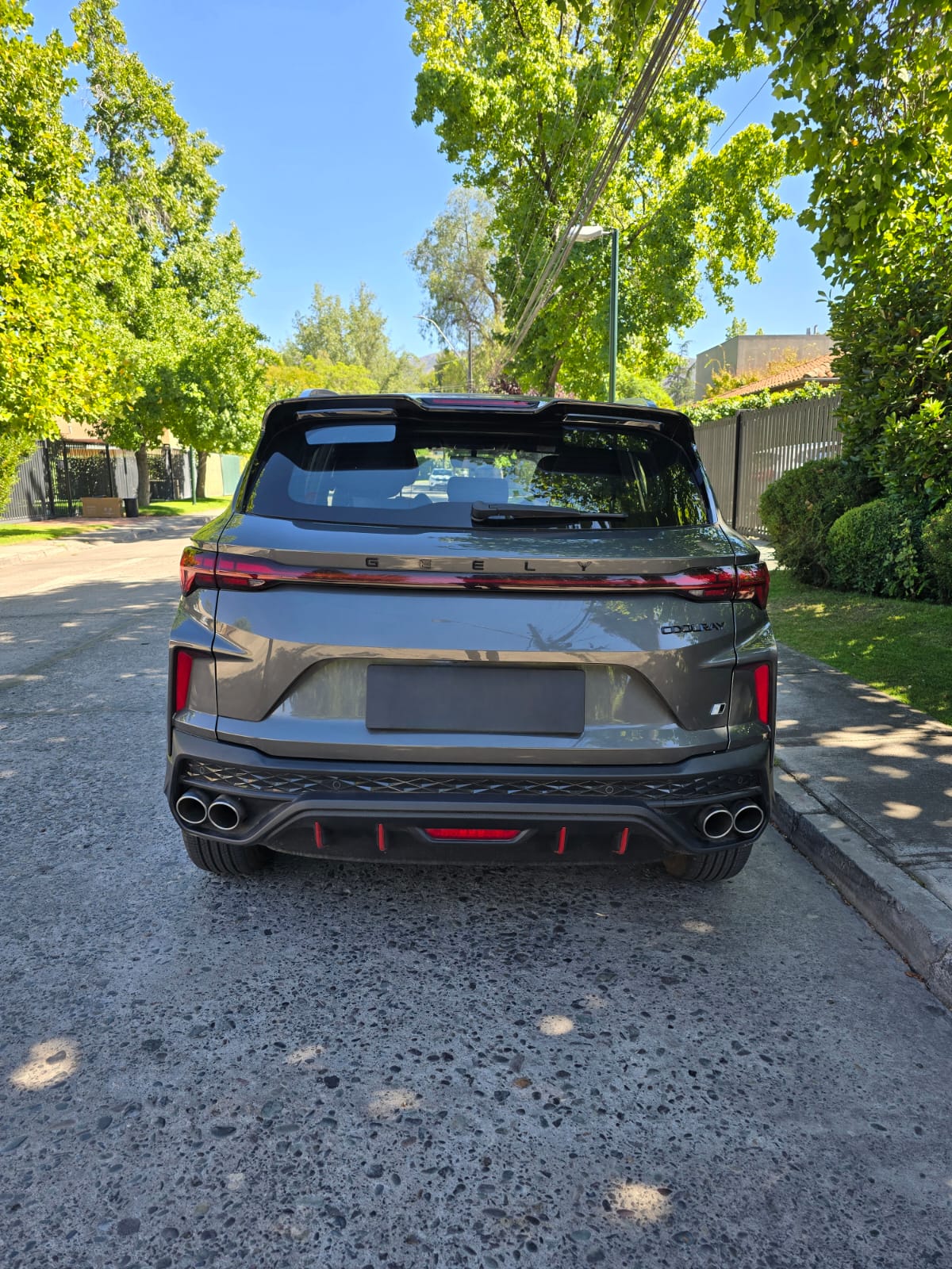 WhatsApp Image 2026-02-11 at 23.04.41