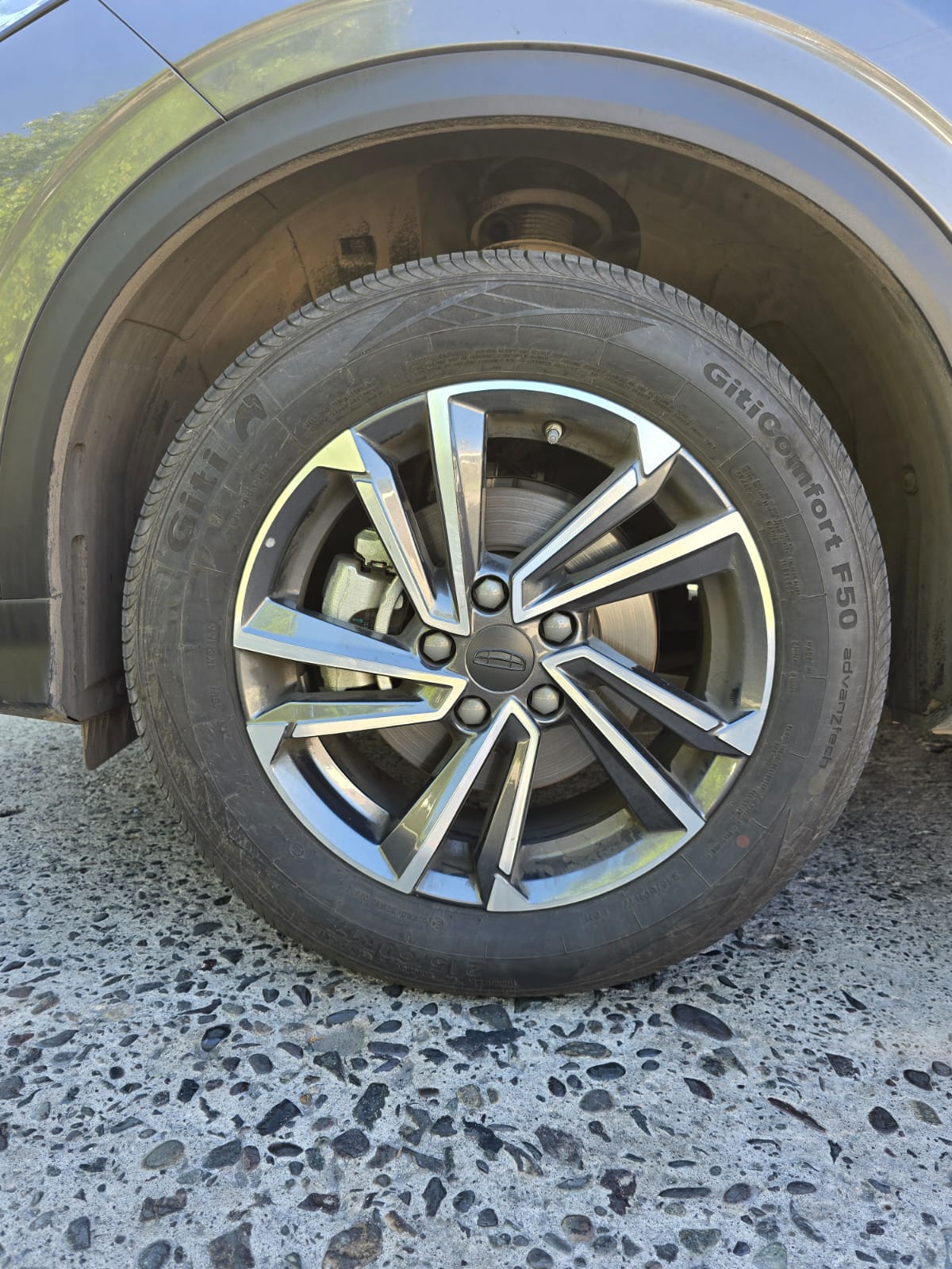 WhatsApp Image 2026-02-11 at 23.04.43 (1)