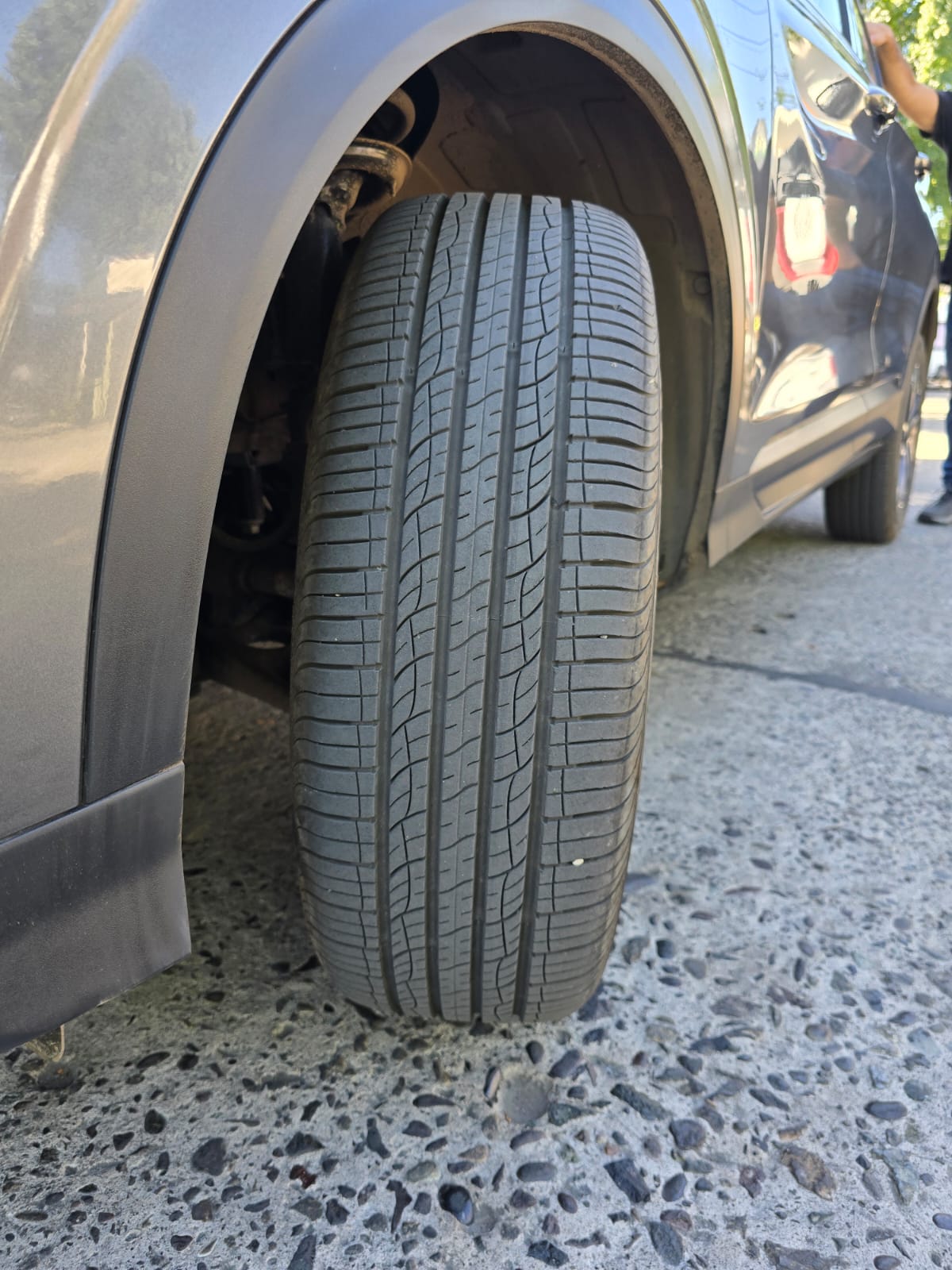 WhatsApp Image 2026-02-11 at 23.04.43 (2)