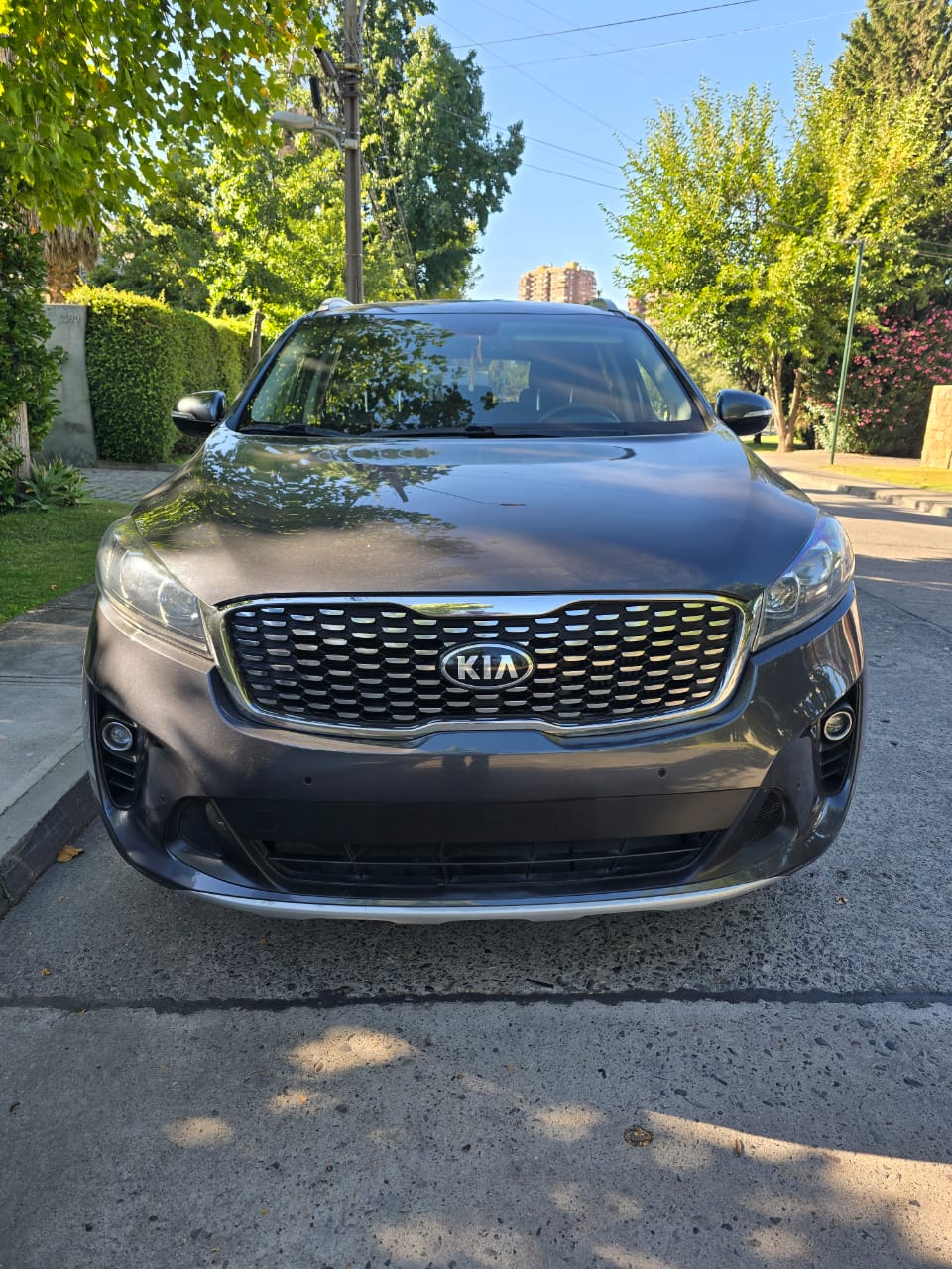 WhatsApp Image 2026-02-26 at 22.27.17