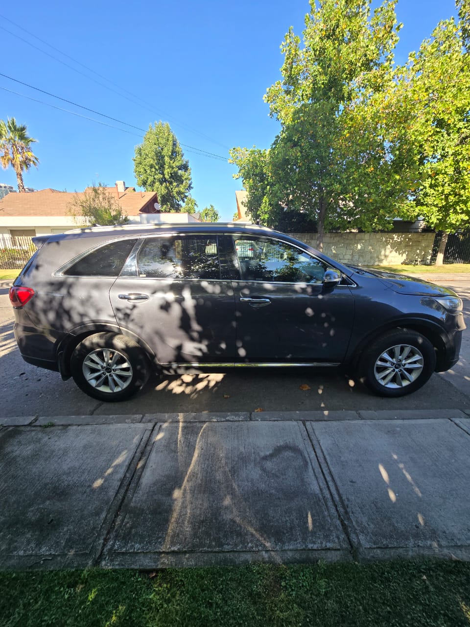 WhatsApp Image 2026-02-26 at 22.27.22