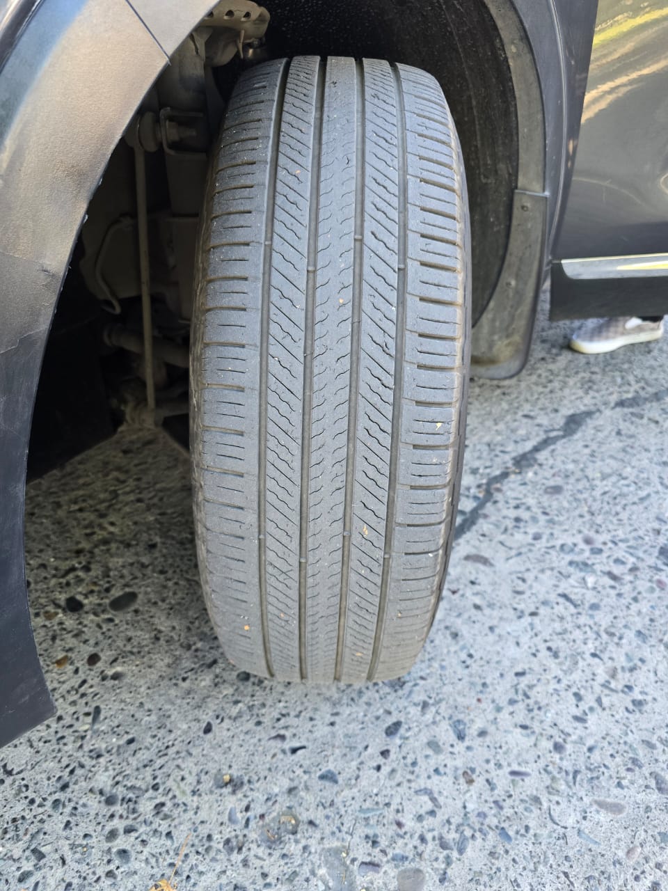 WhatsApp Image 2026-02-26 at 22.27.24 (1)