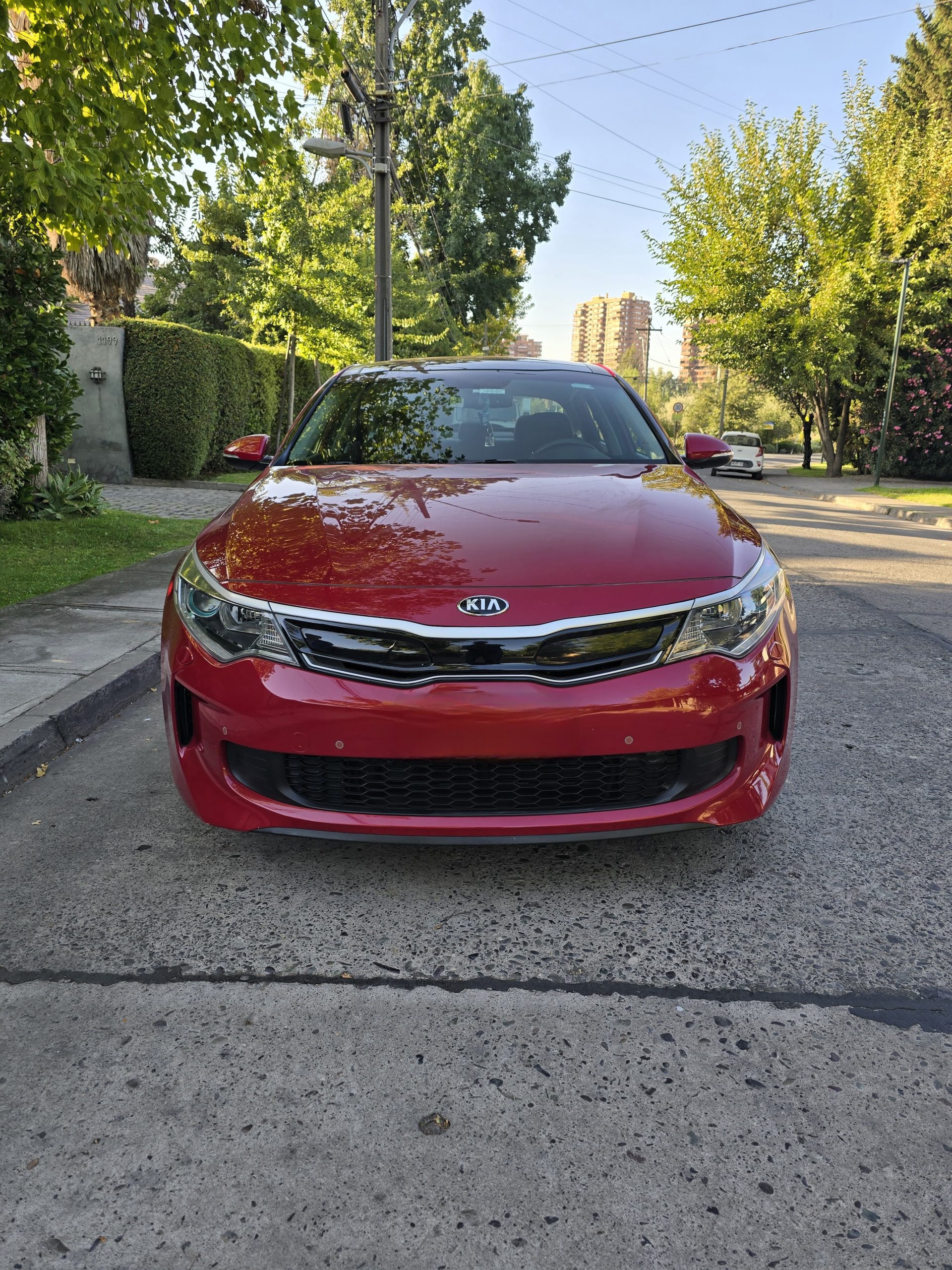 WhatsApp Image 2026-03-16 at 23.04.57 (1)