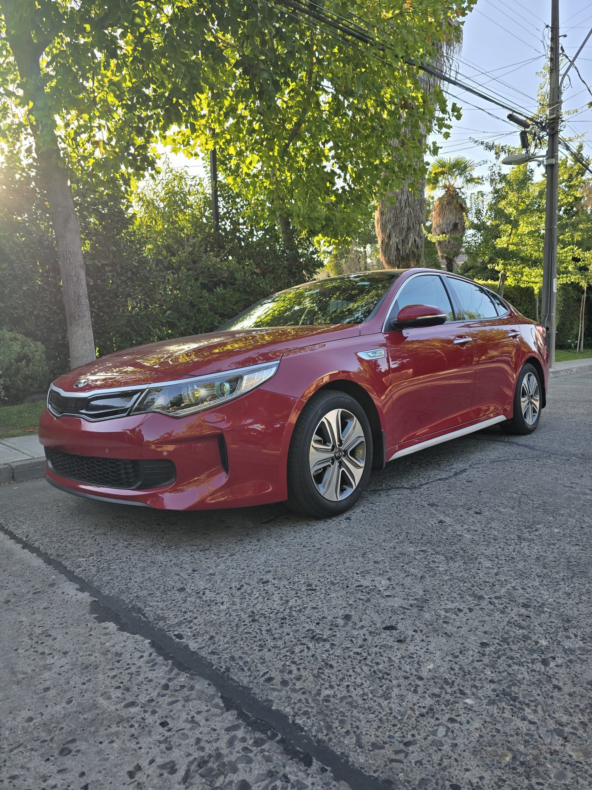 WhatsApp Image 2026-03-16 at 23.04.57 (2)