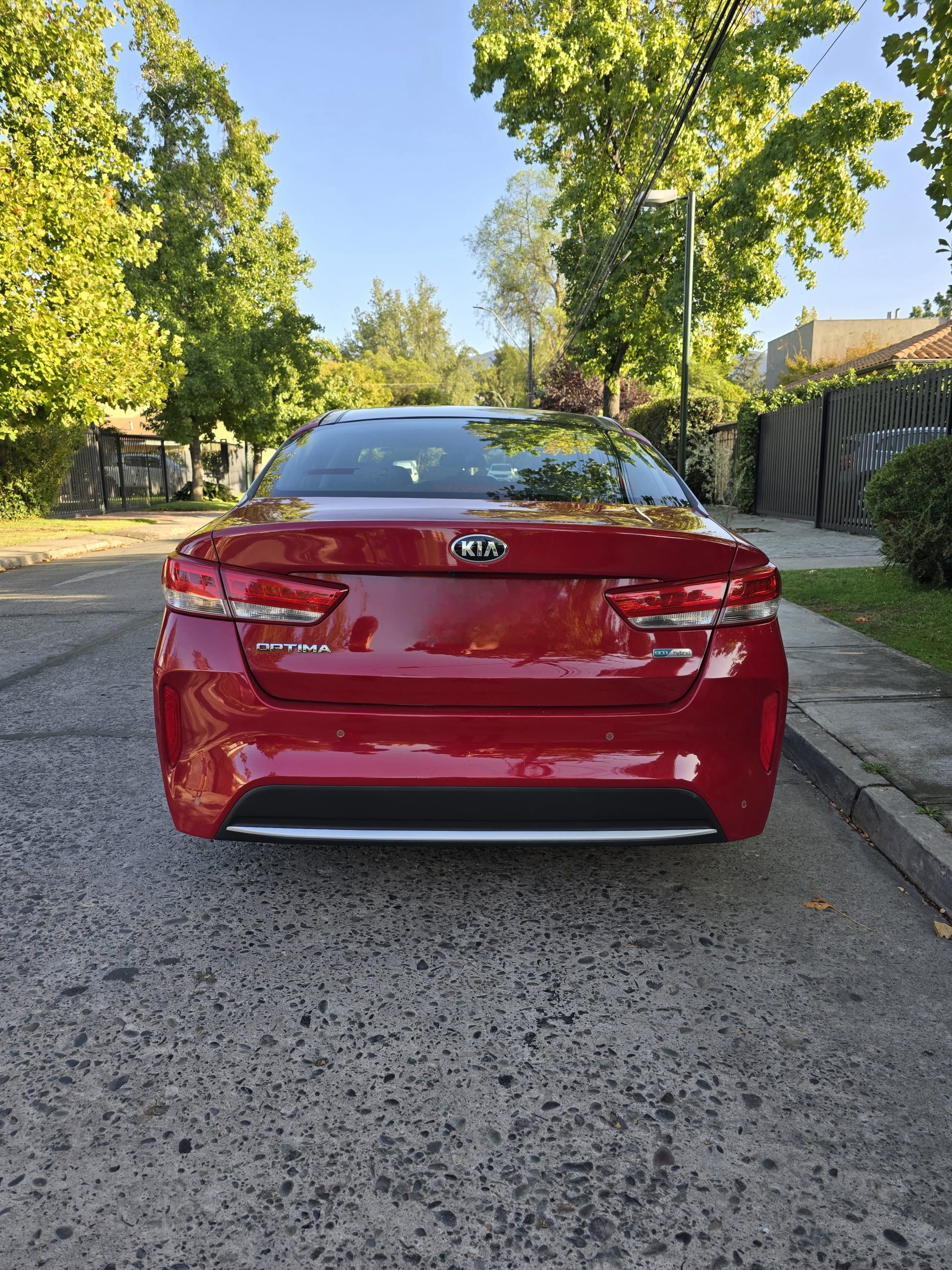 WhatsApp Image 2026-03-16 at 23.04.57 (3)