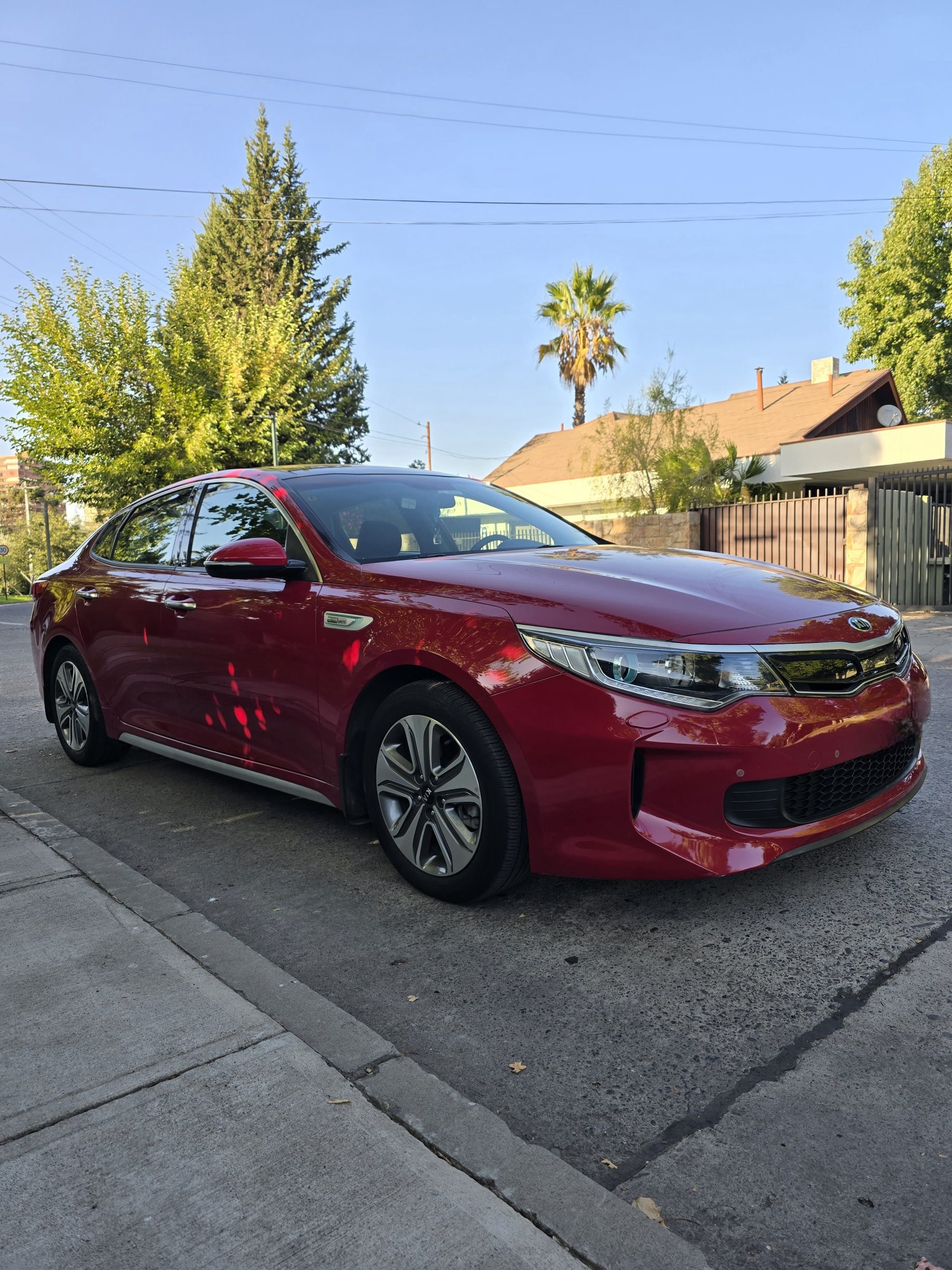 WhatsApp Image 2026-03-16 at 23.04.57