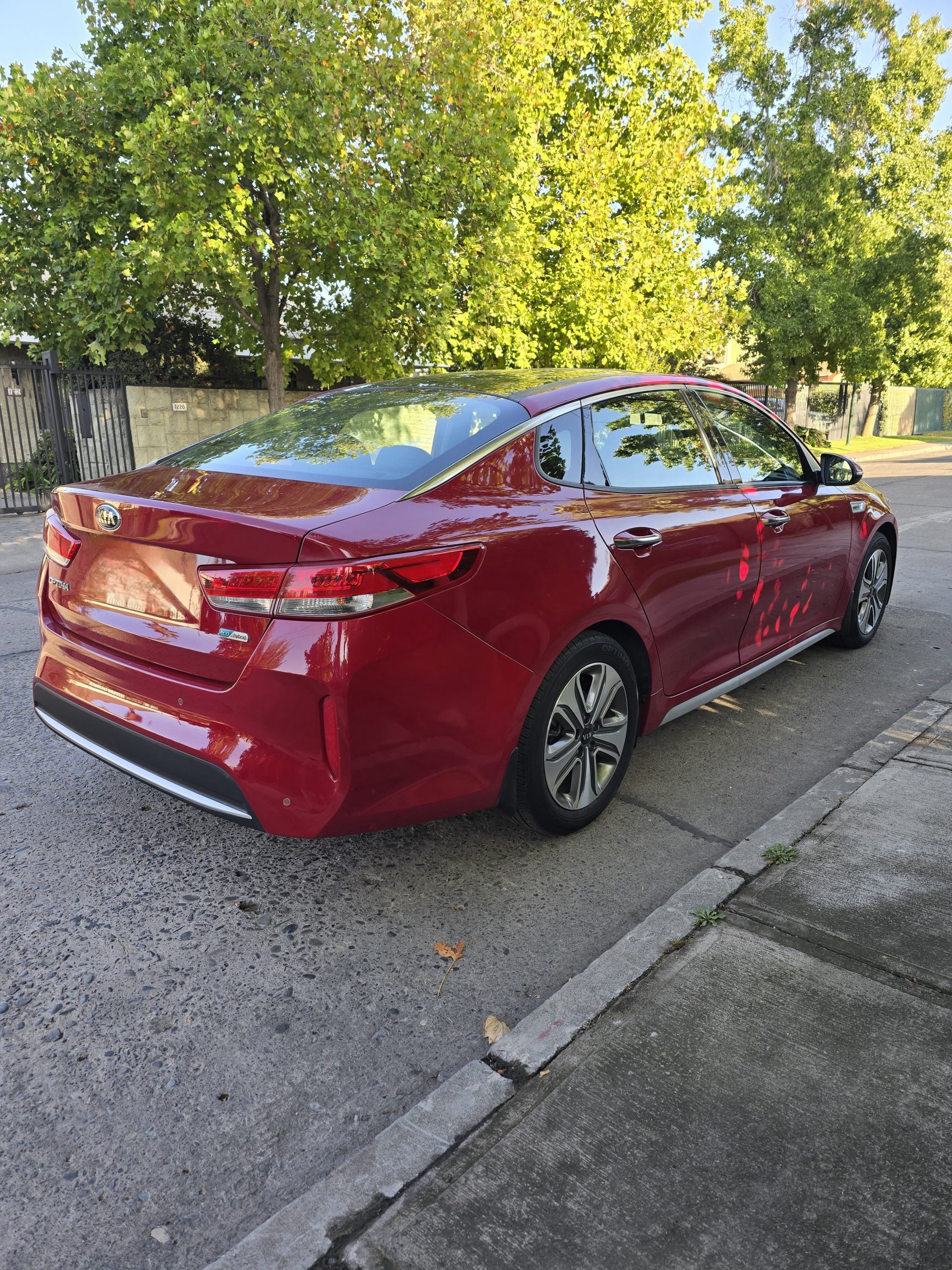 WhatsApp Image 2026-03-16 at 23.04.58