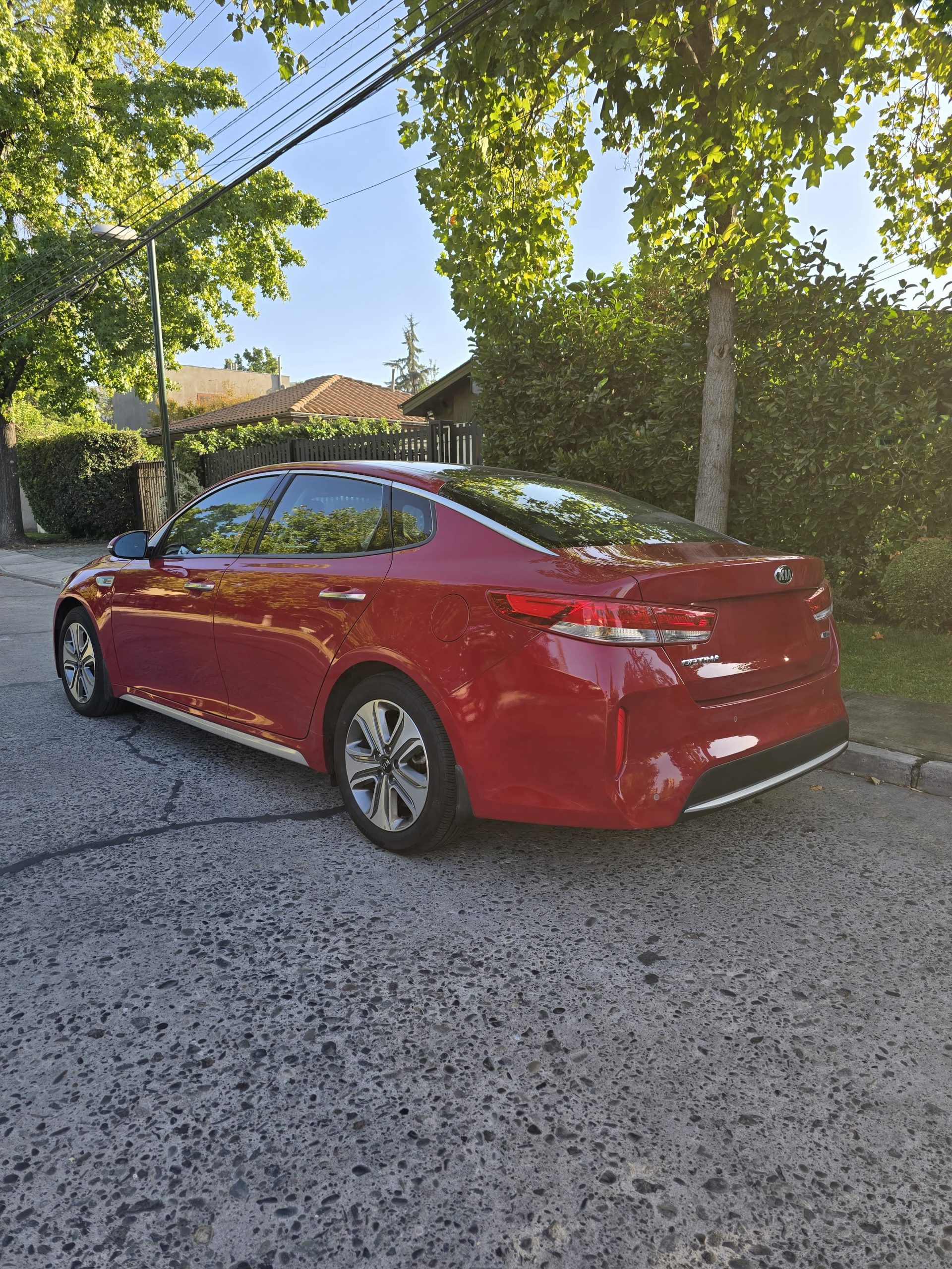 WhatsApp Image 2026-03-16 at 23.04.59 (1)