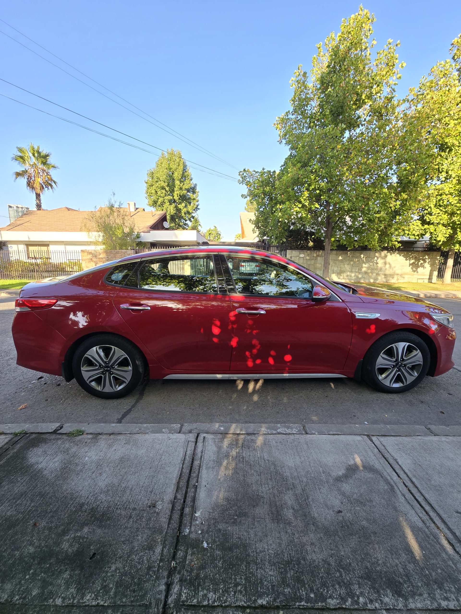 WhatsApp Image 2026-03-16 at 23.04.59 (2)