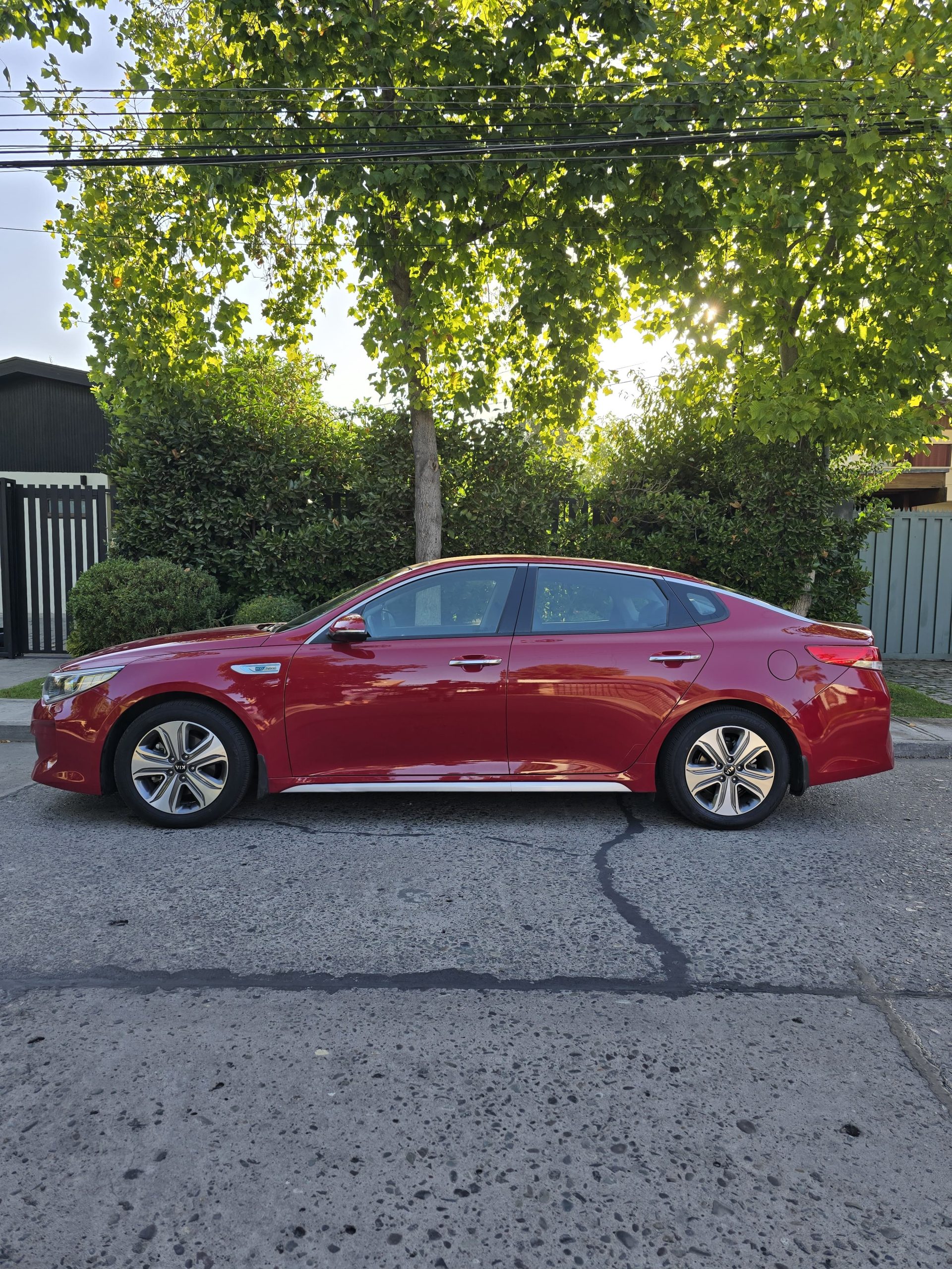 WhatsApp Image 2026-03-16 at 23.04.59